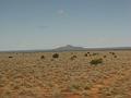 4-vers Gd Canyon 0018